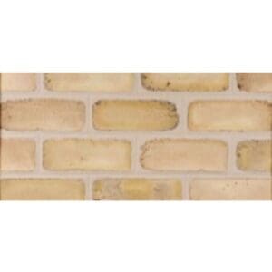 Watsontown Brick- Lehigh
