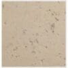 Oyster Shell Travertine