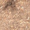 red-mulch-new