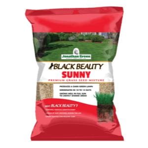 Jonathan Green - Black Beauty® Sunny Grass Seed